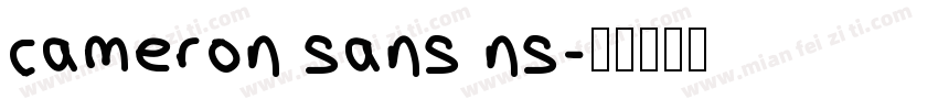 cameron sans ns字体转换